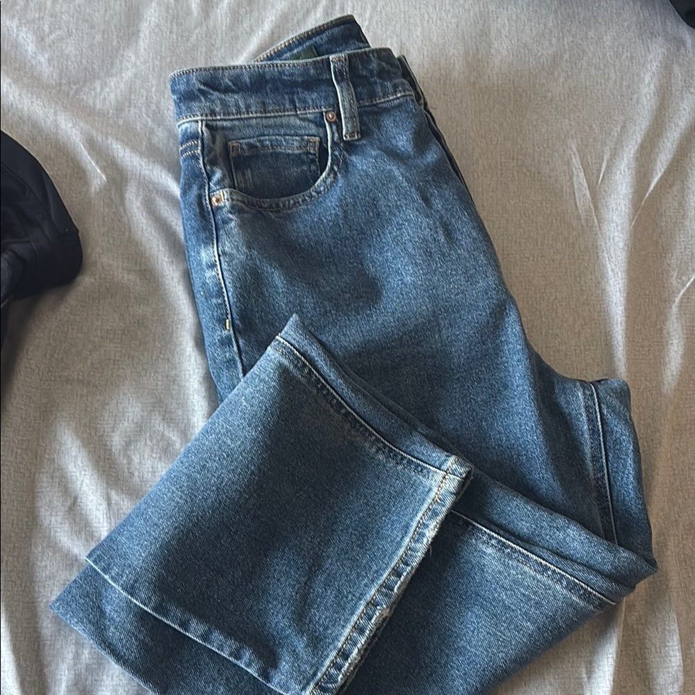 Wild Fable Flare Blue Jeans